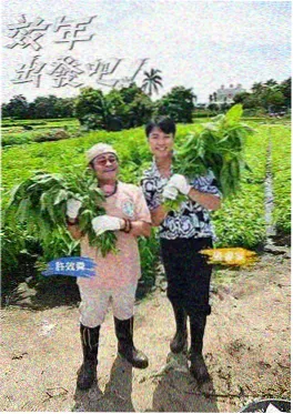 秘密电影综艺现场 凌晨四点的城市 剧照